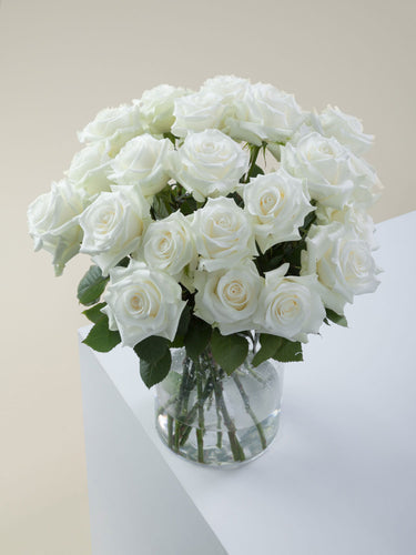 White Roses: The Untold Story Behind Their Timeless Elegance