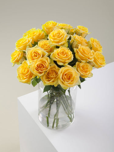 Yellow Roses: Are They Just for Friends or Something More?