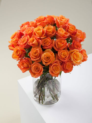 Orange Roses: The Perfect Mix of Energy, Desire, and Bold Love!