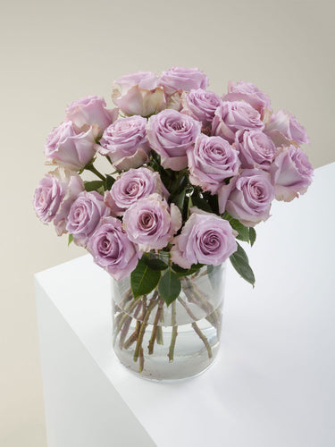 Purple Roses: The Regal Bloom That Commands Attention!