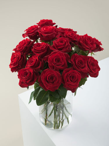 Red Roses: The Secret Message You Didn’t Know You Were Sending!
