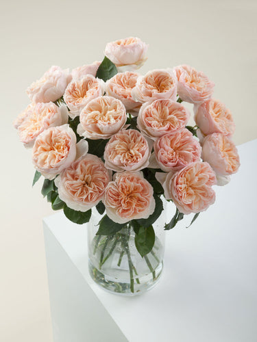 Why This Rose Costs $3 Million and Why Everyone Still Wants It!