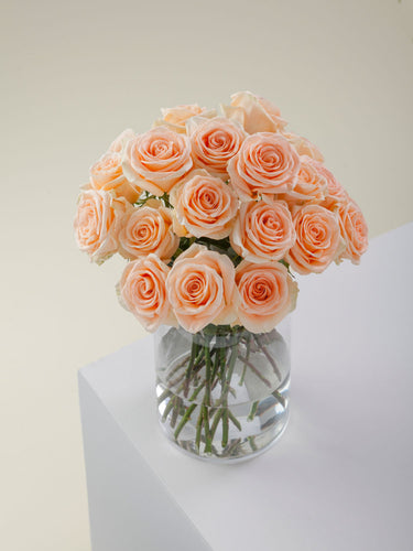 Peach Roses: The Delicate Bloom That Speaks Volumes!