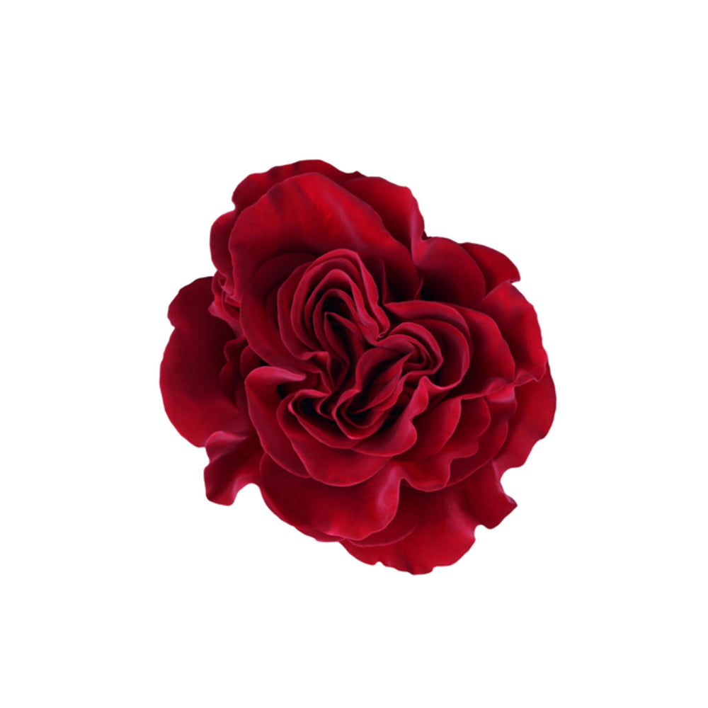 Ecuador Red Rose Hearts