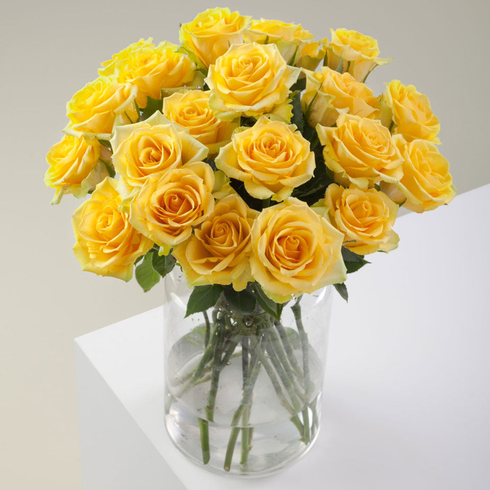 
                      
                        Yellow Flower Vase Butterscotch
                      
                    