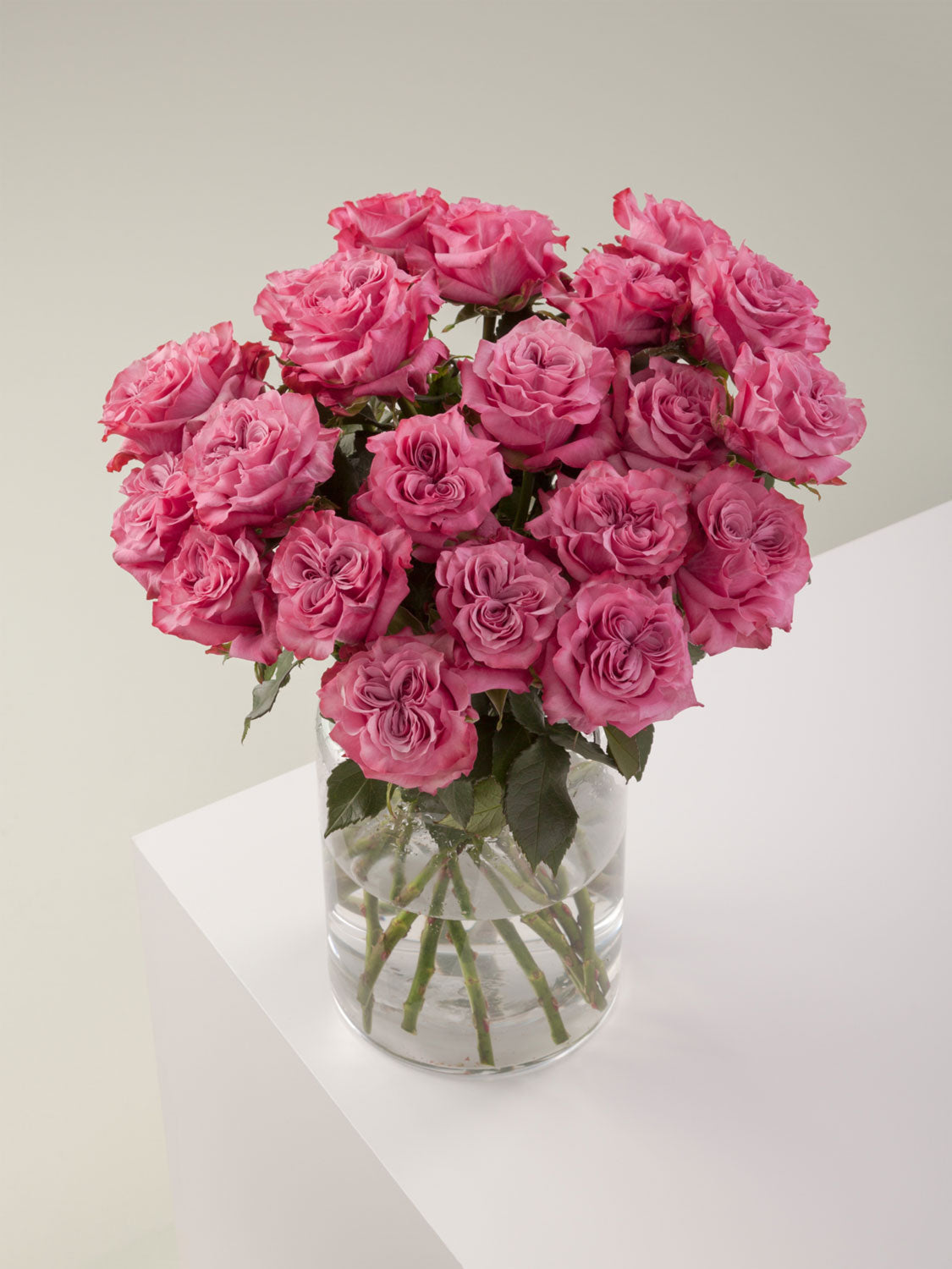 Country Blues – Daily Flower Market