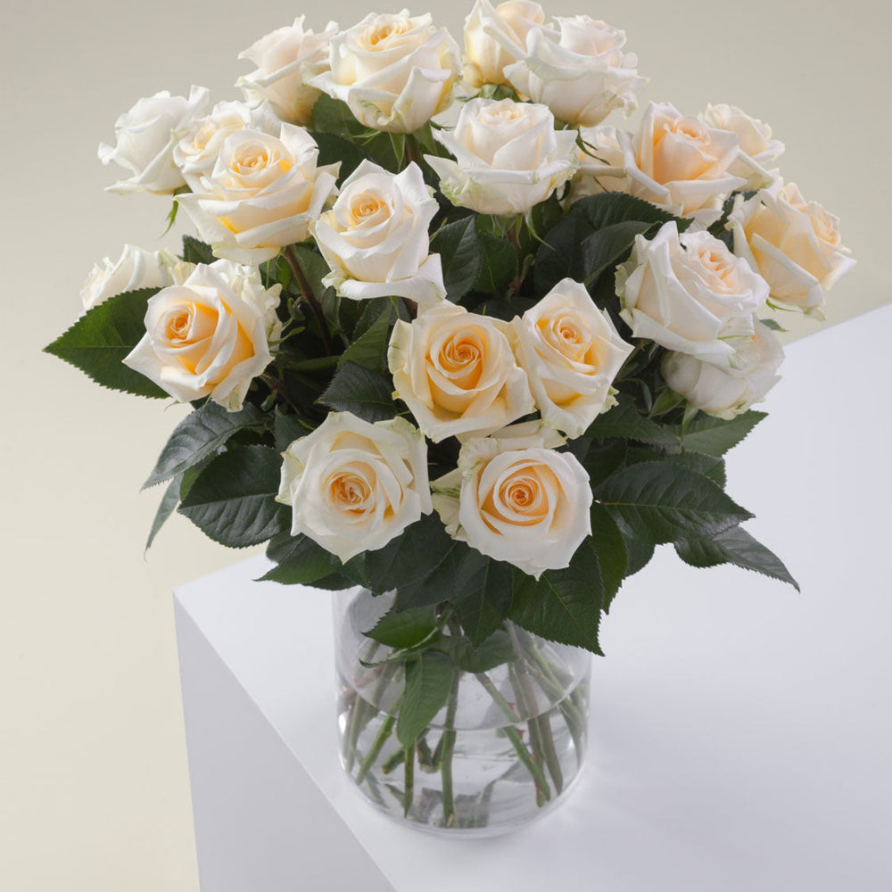 
                      
                        Creme De La Creme Rose Vase
                      
                    