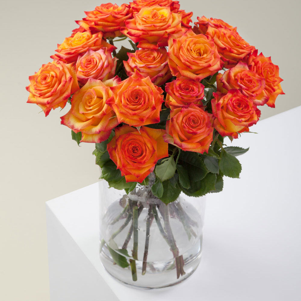 
                      
                        Orange Flower Vase Circus
                      
                    