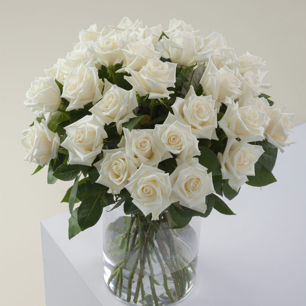 
                      
                        White Flower Vase Escimo
                      
                    