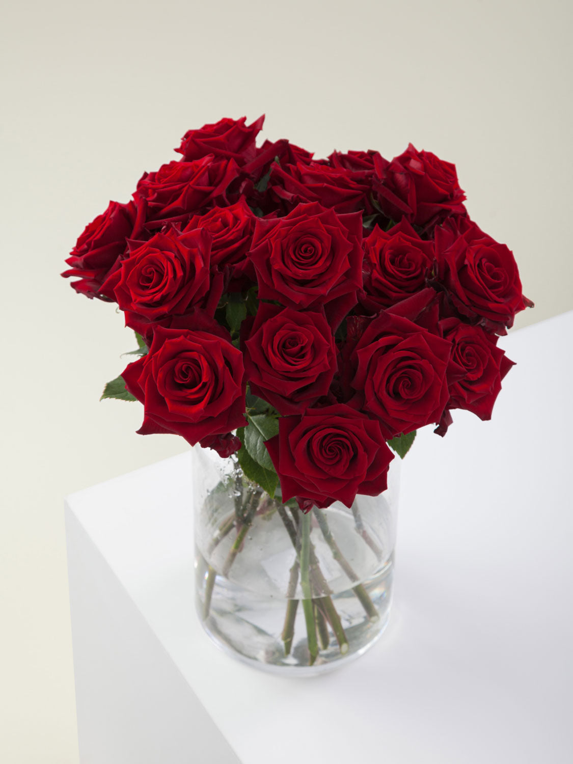 The Language Of Roses What Does Each Colour Symbolise Daily Flower The Language Of Roses What Does Each Colour Symbolise Daily Flower