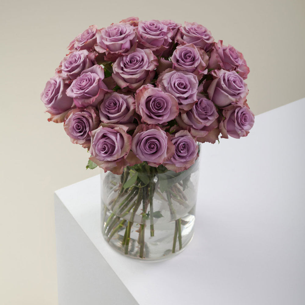 
                  
                    Purple Flower Vase Govinda
                  
                