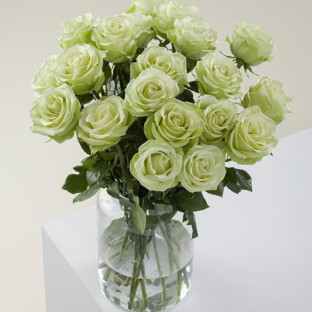 
                      
                        Ecuador Green Flower Vase
                      
                    