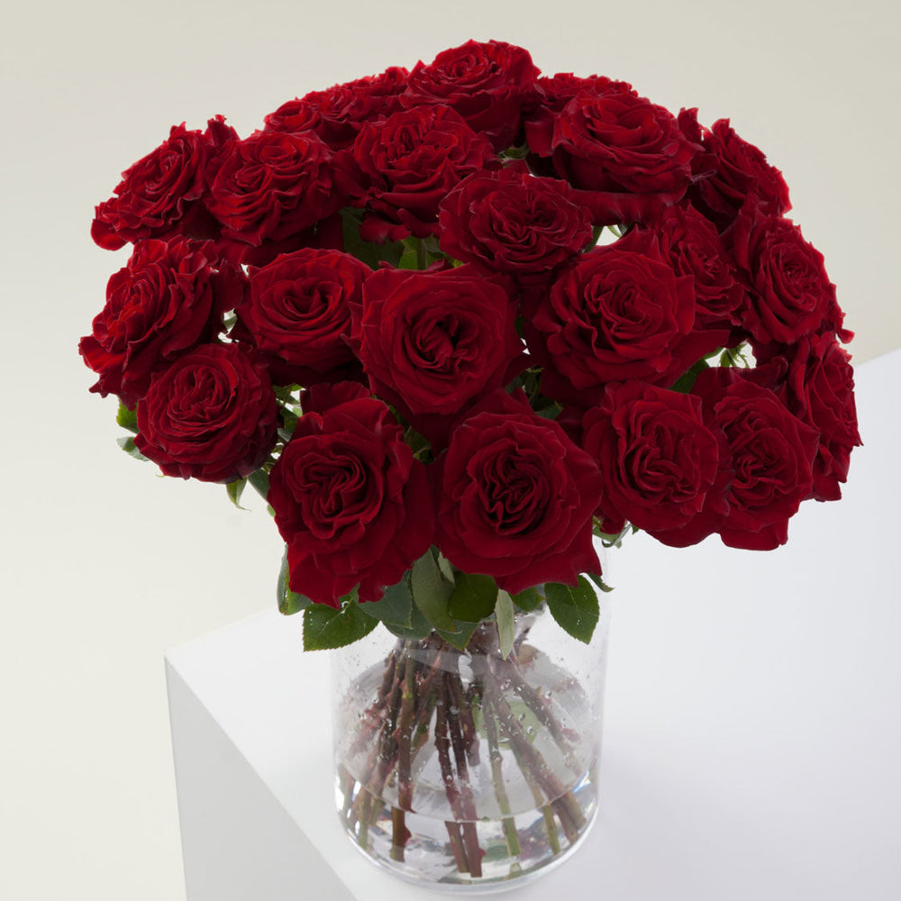 
                      
                        Red Flower Vase Hearts
                      
                    