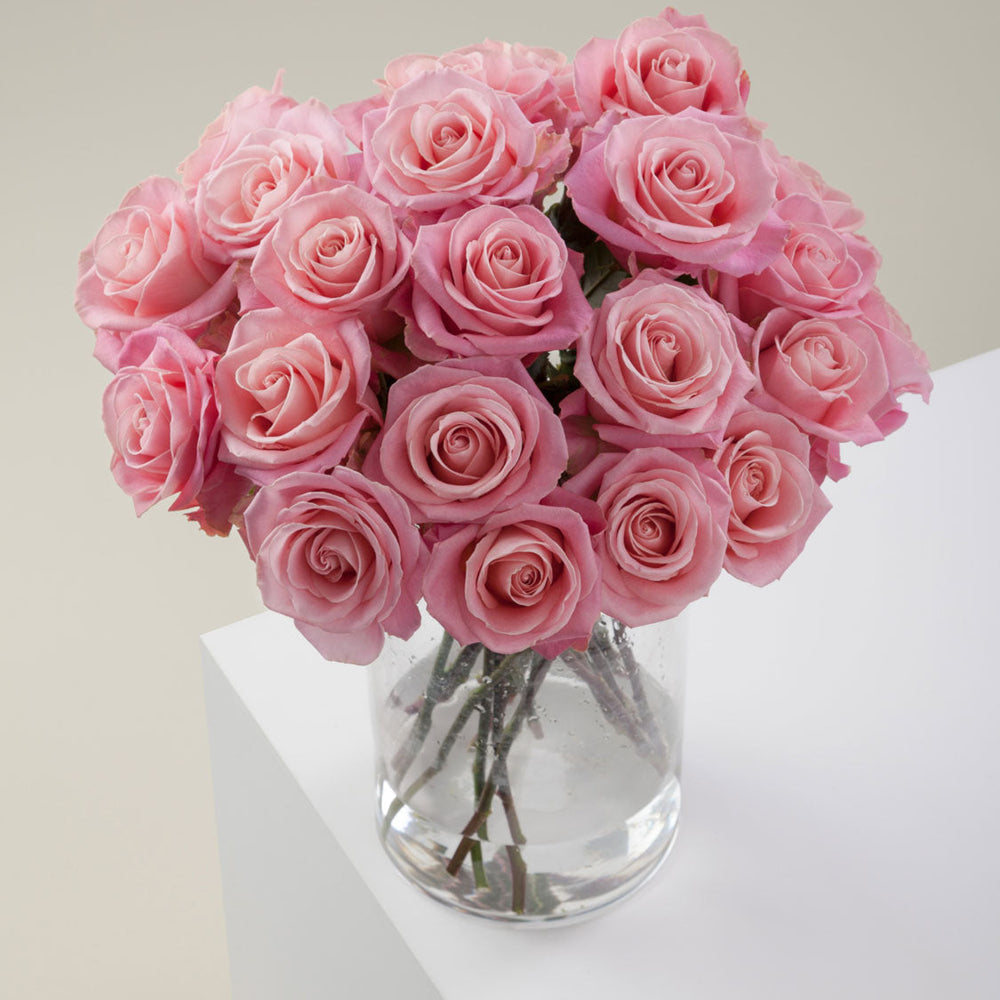 
                      
                        Pink Flower Vase Hermosa
                      
                    