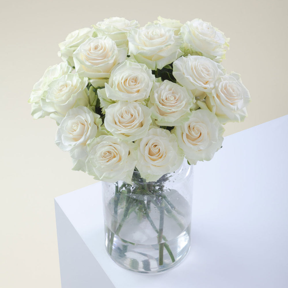 
                      
                        White Flower Vase Mondial
                      
                    