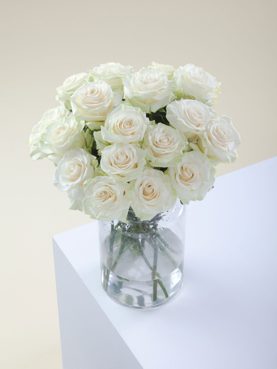 White Flower Vase Mondial