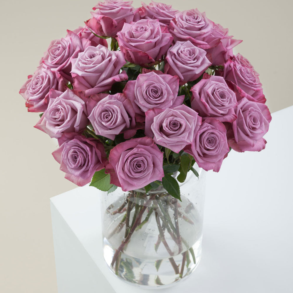 
                  
                    Purple Flower Vase Moody Blues
                  
                