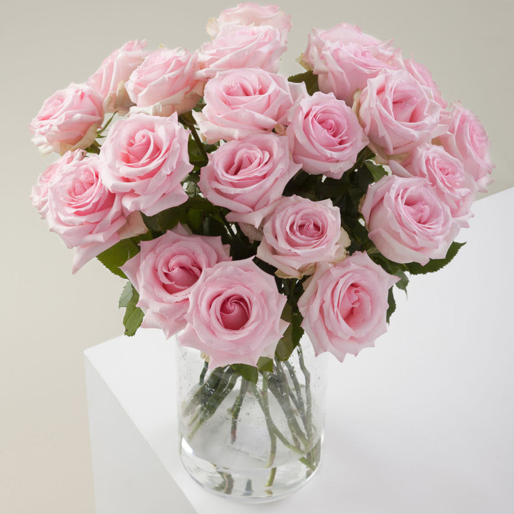 
                      
                        Pink Flower Vase Nena
                      
                    