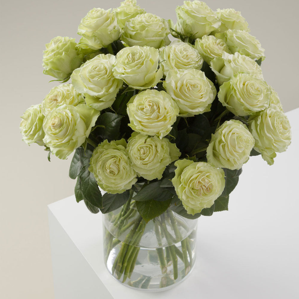 
                      
                        Ecuador Green Flower Vase
                      
                    