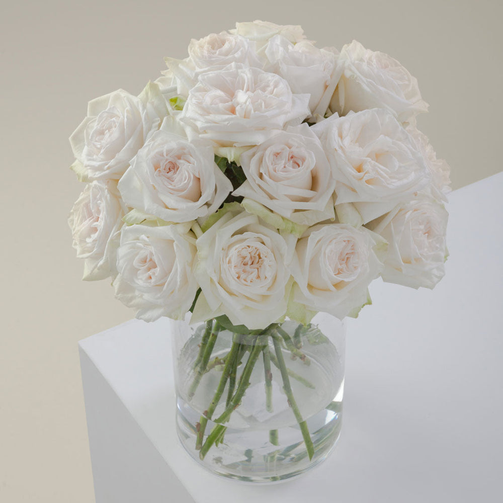 
                      
                        White Flower Vase 
                      
                    