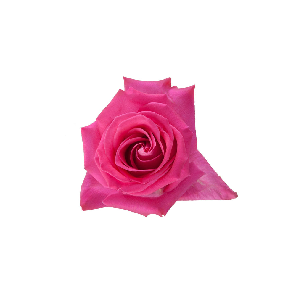 
                      
                        Ecuador Hot Pink Rose Topaz
                      
                    