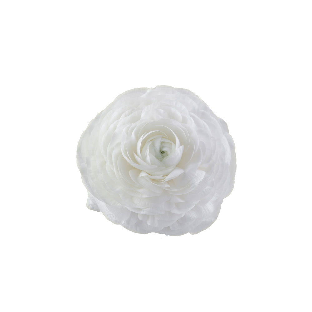 
                      
                        White Ranunculus Elegance Bianco
                      
                    