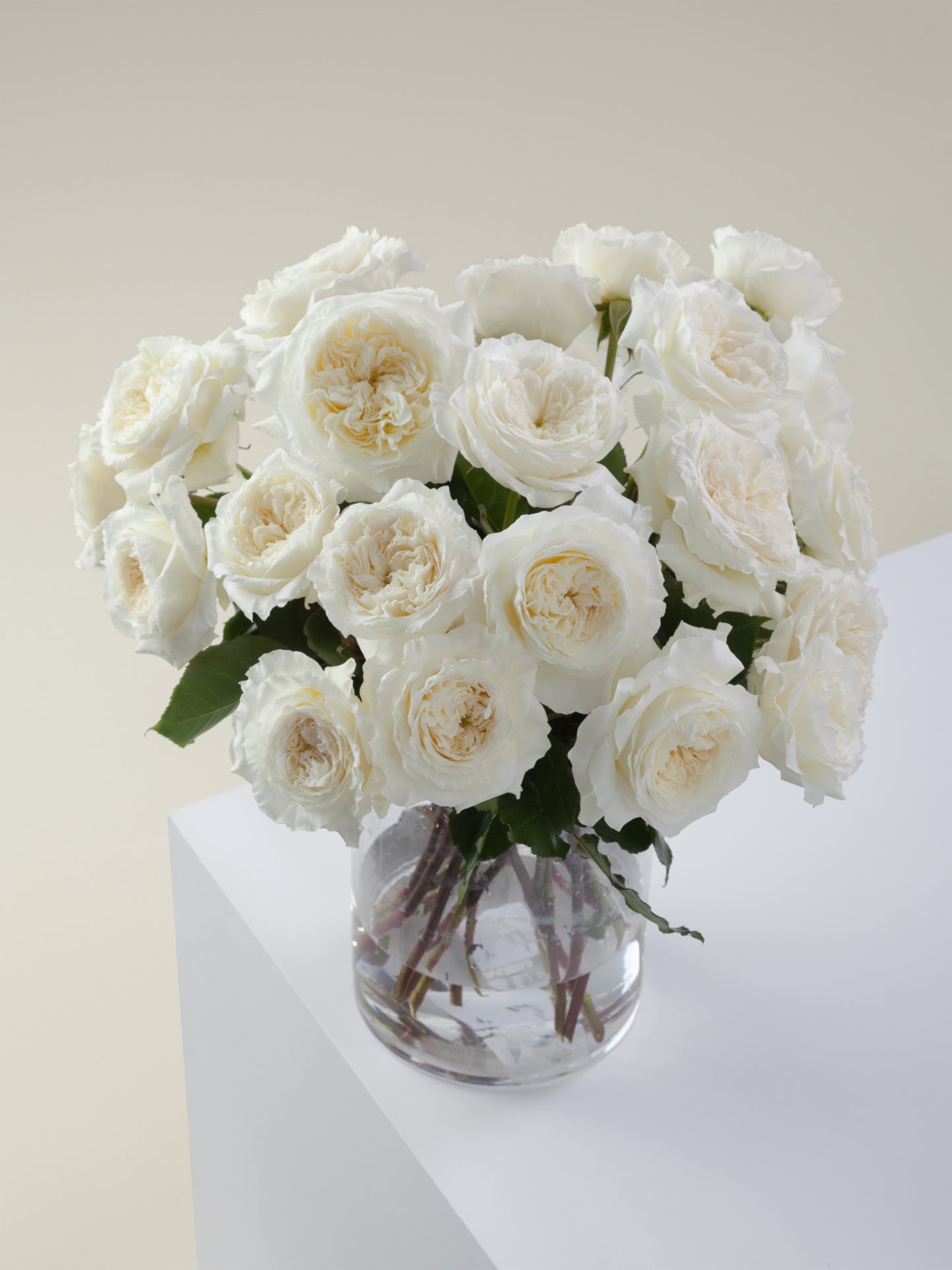The Language Of Roses What Does Each Colour Symbolise Daily Flower The Language Of Roses What Does Each Colour Symbolise Daily Flower